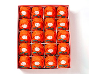 y򂤂czNȂ20 Mtg k ΐ  aَq