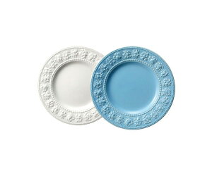 yEFbWEbhztFXeBreB v[g 21cm (AC{[Eu[) yA