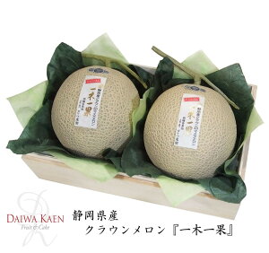 メロン クラウンメロンの人気商品 通販 価格比較 価格 Com