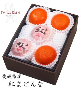  Ε QY g܂ǂ  t[c ʕ Mtg Ɨp x v[g Ε   j  j 蕨