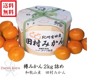  Ε c݂ M ϔ  t[c ʕ Mtg Ɨp v[g Lc݂ Ε    j j 蕨