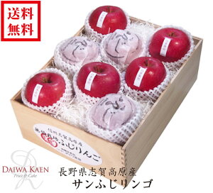  Ε Tӂ  Y uꍂ ϔ  t[c x ʕ Mtg Ɨp v[g ؔ Ε    j j 蕨