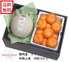 送料無料 お歳暮 静岡産 クラウンメロン マスクメロン 田村みかん 化粧箱 高級 フルーツ 果物 ギフト 自家用 12月旬 プレゼント 有田みかん 御歳暮 お供え お見舞い 御礼 お祝い 内祝い 贈り