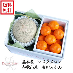  Ε F{Y }XN a̎RY Lc݂  t[c ʕ Mtg Ɨp 11 12 { v[g Ε    j j 蕨