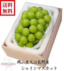  Ε RY Y VC}XJbg 700g  ʕ t[c Mtg Ε v[g 嗱 ؔ  j  j  蕨