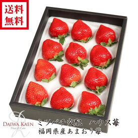 送料無料 福岡産 あまおう いちご ひな祭り 化粧箱 高級 フルーツ ギフト 果物 大粒 御歳暮 ギフト 自家用 プレゼント お供え お見舞い 御礼 お祝い 内祝い 贈り物 入学祝 就職祝