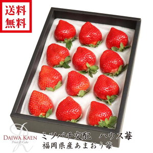  Ε Y ܂  ϔ  t[c Mtg ʕ 嗱 Ε Mtg Ɨp v[g    j j 蕨 wj AEj