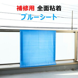 CpSʔSu[V[g 1m×1m 1 CE-013-810-0