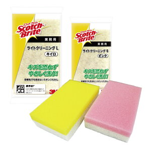 X[GWp CgN[jO킵 EsN LTCY