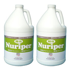 まとめ買い TOSHO コスケム 洗剤 酸性ヌリッパー 3.78L×2個 水垢 ウロコ 黒ずみ