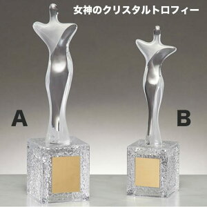 gtB[F_̃NX^gtB[i235mmjB2736-Byz[A/G-23]