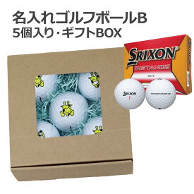 名入れゴルフボールB（SRIXON DISTANCE）5個入り・ギフトBOX【名入れ無料】【データ入稿対応】【父の日ギフト】【スリクソン】 [d]