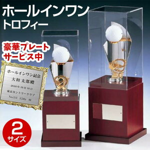 �{�[����������S���t�R���y�L�O�i�E�z�[���C�������g���t�B�[�i����278mm�jBT3545-B�y�������������z�y���������z[F/S12]