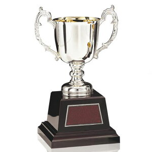 DJbvFX^_[hJbv(180xa60mm)AC1320-Dyz[FP/A4]