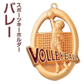 メダル型イラストキーホルダー(高さ55mm)MMY8322☆バレーボール[S]【文字彫刻無料】【楽ギフ_名入れ】