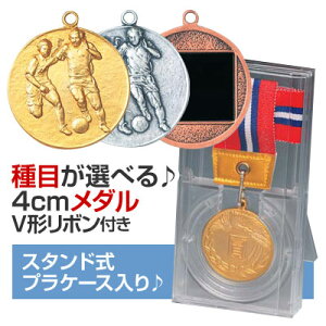 ���_���i4cm�jVL-C�^�FV�`���{���t�F�X�^���h���v���P�[�X����y�������������z[M/M23]