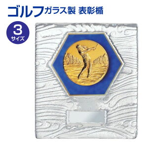 StpEKX\i190x170mmjVSX5504-golf-Ayz[M/P34S]