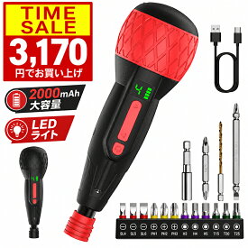 【クーポンで3170円】 電動ドライバー ドライバー 小型 強力 携帯 女性 初心者 手持ち 充電式 2000mAh大容量 電動・手動兼用 S2鋼ビット16点セット コードレス 滑り止め 軽量 手動兼用 高輝度LEDライト 初心者向け 操作簡単 家庭用 DIY用 合金製 ビット