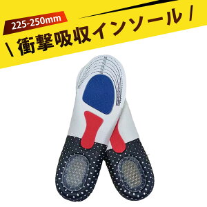 y܂ C\[ X|[cC\[ Uq[ Cpbh y ʋCz Ռz e͐Q I|\ A[`T|[g ԗd y Jbg\ TCY jp