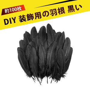 y100zH feather tFU[ VRA |p p DIY Ntgp HANZT[ D y₩ S R hL nhCh ޗ Cxg EFfBO a p[eB[ o