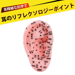 c{ ͌^  ͌^ c{WG[ ͌^ 13cm  ͌^ ˋ}bT[Wc{ ͌^  j}bT[WwKp ͌^ Ëp PVCf