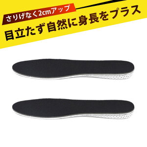 y1z C\[ n[tC\[ C\[ C\[ gAbv C\[  C\[ TCY [tH[ C\[ Cp ~ L ʋC 