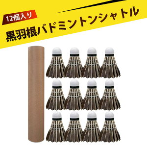 y12zVg oh~g oh~gVg Vg H oh~g H Kp oh~g ƑFBƊyށA肵sƑϋv̍oh~g{[