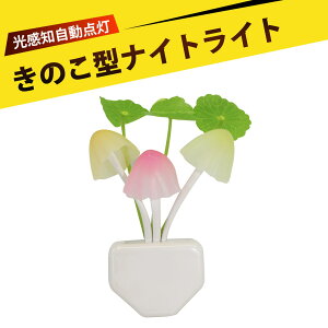 ZT[Cg iCgCg ledZT[Cg 铔 ZT[Cg  LED̂Cg @̗tX^h _ xr[ԏƖ q Q Lb` gC