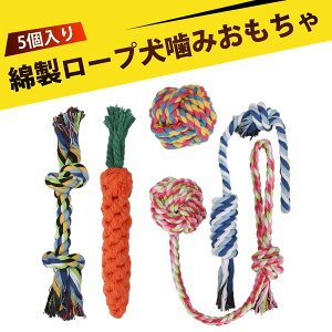 y5 z ނ pi        [v ^  [v   Ώ  XgX V  ObY ybgp