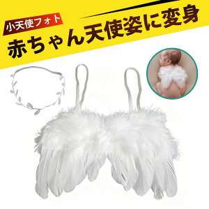 j[{[tHg ߑ j[{[tHg Vg̉H n[to[Xf[ HN xr[ tHgvbv LO  Zbg  [twAoh wAANZT[ V 100