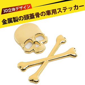 3D XJ  XebJ[ ^ NX{[ ԗpXebJ[ Gu XJwbh oCN XebJ[ hN XJ ԗp h ϋv Bp hXAbv ԉ 3DfUC 