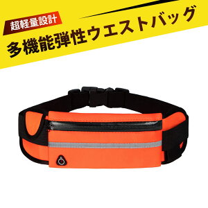 EGXg|[` jO JɋI^hEhkE鎋 jp ֗ȃjOEFXg|[`@(ubN+CG[IW)