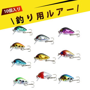 y10zoXA[ XCxCg oXނ gEg V[oX bNtBbV \gEH[^[ tbVEH[^[ XsjO xCgtBlX tBbVOpi