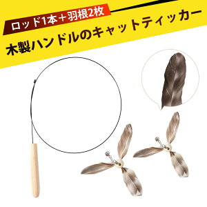 L̂ lC L炵 lC lR  L炵 i ؐ  H ti t ւ\ L  ϋv {\ 킦Ȃ Lp ybgpi