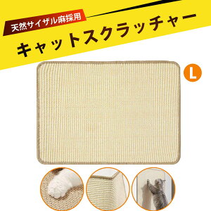 L ܌  L߂ƂlC lR ܌ L ܌ Ȃ ϋv Ǔ\ L܂Ƃ Ȃ L  ܖ  ΍ \t@ ی Ƌ h~ S O\ ȃX