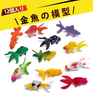 y12z tBMA tBM Zbg A CmV[Y mߋ q  FmB  ANAE CeA  V ϐ Jt