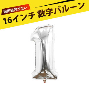 o[ a a D nbs[o[Xf[  LO v[g a t D  D JԂg v Q ^ѕ֗ 16C`i1j