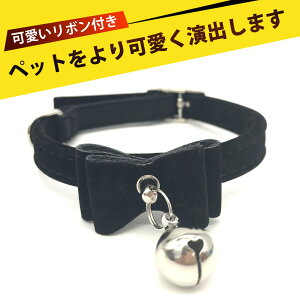  ^ Lт lC S  L  t Lt  ʔNg KPUA? vȈ  SXgb`oh Oop ybgANZT[