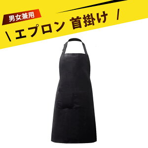 Gv Ԃ Gv fB[X ƗpGv |Gv h ʋC K O|Pbgt \ v  ubN jp Lb` _CjO[ R[q[V