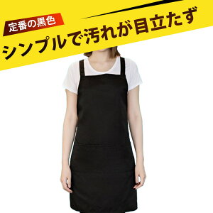 Gv Ԃ Gv fB[X ƗpGv |Gv h ʋC K O|Pbgt \ v  ubN jp Lb` _CjO[ R[q[V