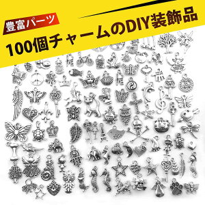 y100 znhCh ANZT[p[c `[ DIY ޗ L[z_[ p[c sAX y_g wAS fR X}zP[X  tւ r[Y  g AeB[N 