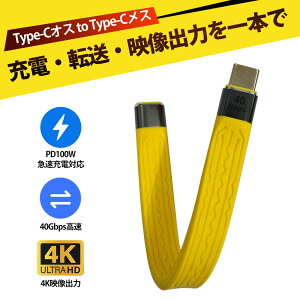type-c �P�[�u�� �^�C�vc usb usb �P�[�u�� �Z�� usb type-c �P�[�u�� USB Type-C �ϊ��A�_�v�^�[ 5A 100W PD�}���[�d �f�[�^�]�� 40Gbps �f���o�� �����ڑ� �Ή� �ϋv �g��