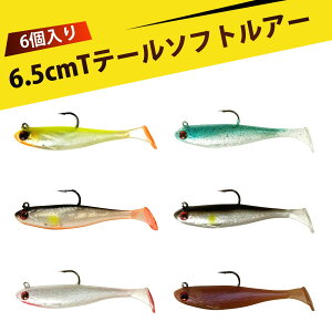 y6 zނZbg \tgA[ oXA[ A[ oXނ Te[ [ sXg oX gEg }X Cނ tBlX tbNt ^a hg   ^bN