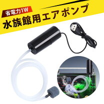 楽天市場】酸素ボンベ 小型 水中（熱帯魚・アクアリウム｜ペット 