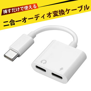 TypeC to TypeC 2in1�ϊ��C���z���W���b�N �C���z���W���b�N �ϊ� �^�C�vc �C���z�� �ϊ� Type-C �ϊ��A�_�v�^�[ �C���z���W���b�N �[�d���̗��� �m�C�Y�L�����Z�����O ������ �X�}�z �^�u���b�g PC 