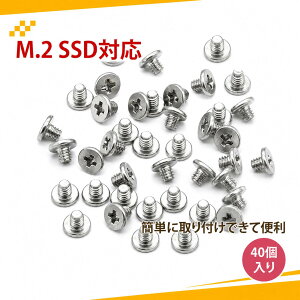 �y40����z�p�\�R���p�l�V m2 �l�W M.2 SSD�Œ�p�l�W �啽�� �\���� ���^ �����l�W �d�q���i���t�� �C���p