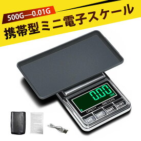 精密 ジュエリースケール 高精度0.01g 単位計量 小型デジタルスケール デジタルはかり 電子スケール 電子はかり 小型 ステンレス 計量スケール USB充電 ポータブル 宝石 計り 貴金属 はかり ダイヤモンド 測定