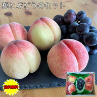 父の日ギフト プレゼント フルーツ詰合せ 送料無料 店長 いちおし 福岡県産 桃 と 黒ぶどう の 詰合せ セ…