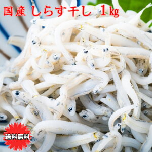 V 炷 1Kg VX Y g炷 1Kg 