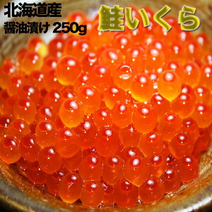 Ε  傤Ђ CN Mtg  Y kC  傤Ђ 250g Mtg  Ε hV̓  傤 CN 悤Ђ ?  Ε